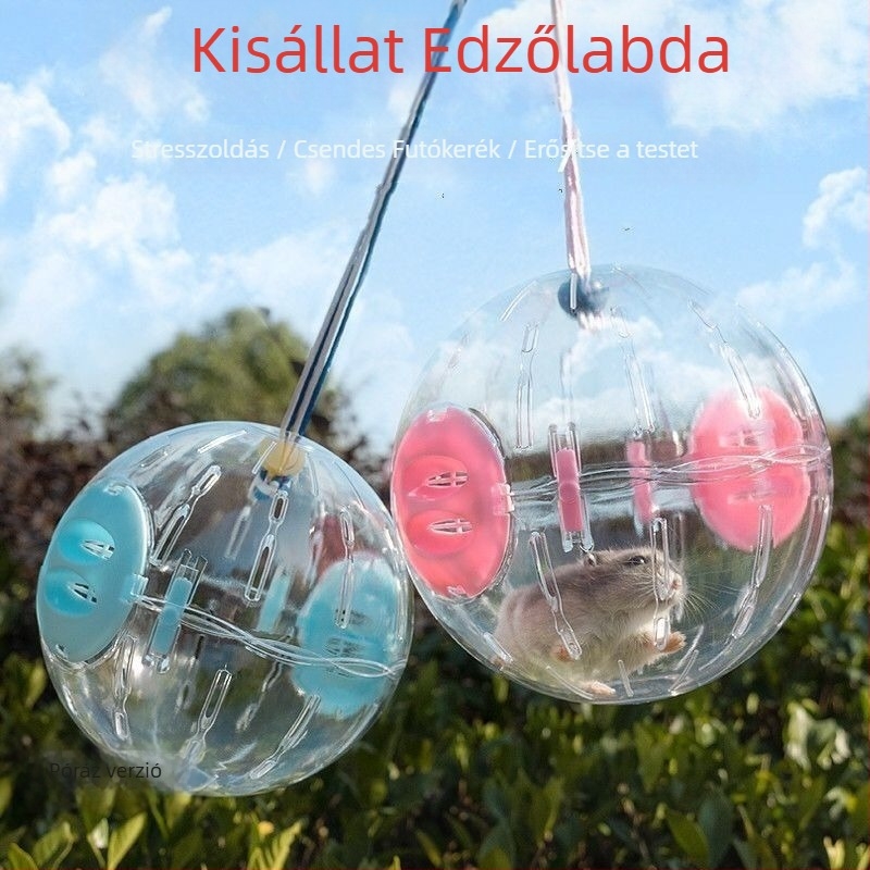 Hámester futólabda és futókerék állvánnyal kisállatokhoz - edzőlabda, guruló labda a unalom ellen