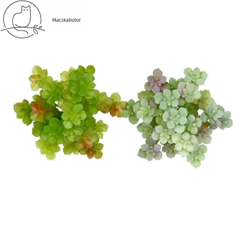 Mű szukkulens növény, 11 cm, mélyedéses levelekkel, Sedum, műanyag asztali dekoráció