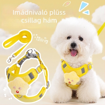 Kis testű kutyáknak készült hám mellkasi pánttal és pórázzal