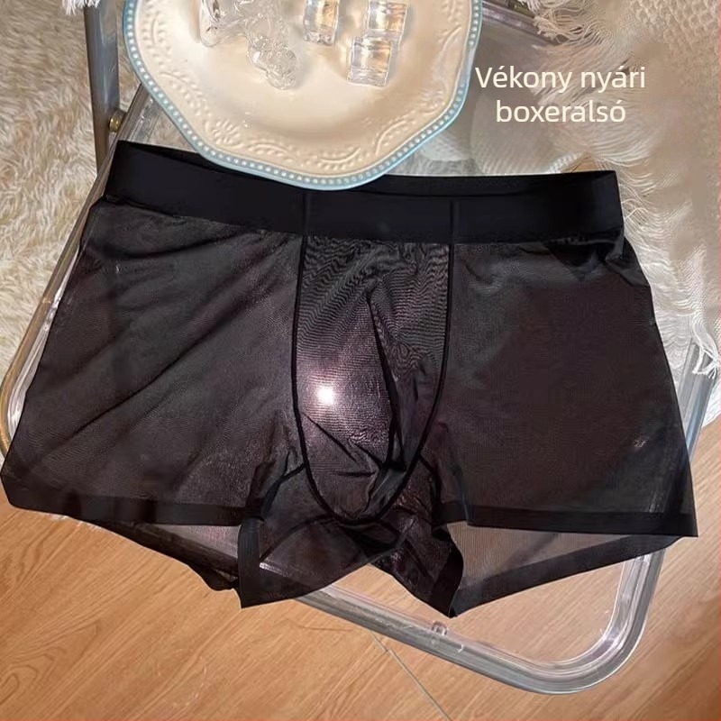 Teljesen átlátszó férfi boxer briefs - légáteresztő hálós anyag, ultra vékony nyárra