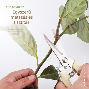 Rozsdamentes acél kertészeti olló ágak vágásához és gyümölcsök szedéséhez a gyümölcsösben