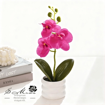 Művirág Orchidea Bonsai – kis dekoratív növény otthoni díszítéshez és fotózáshoz