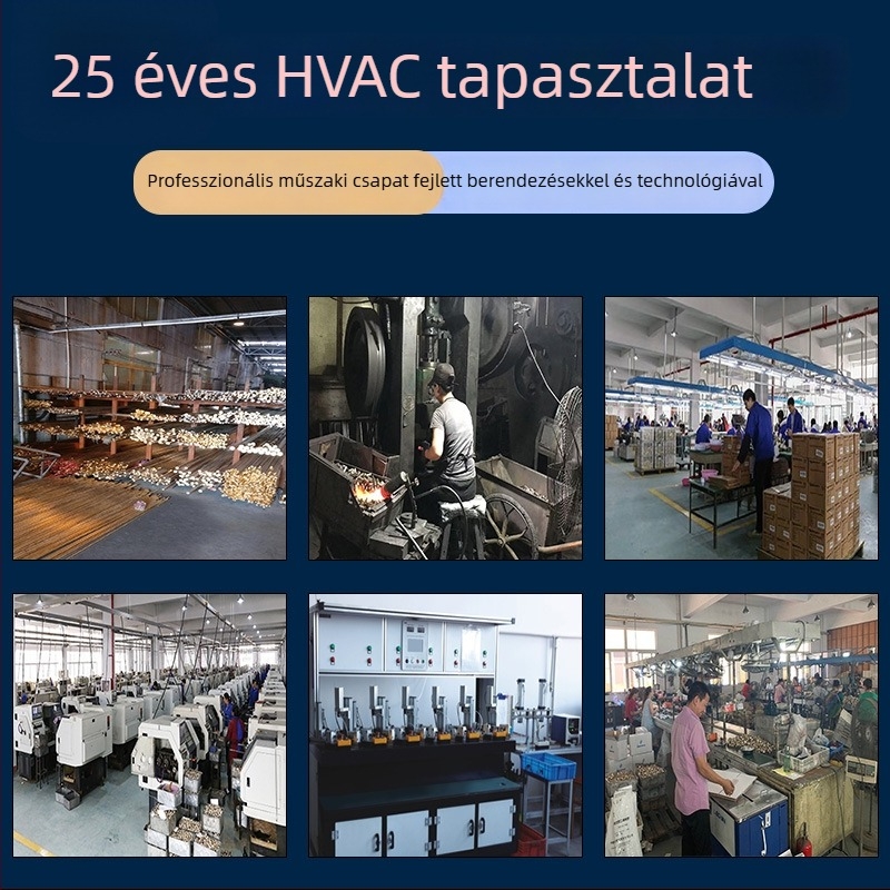 Kereskedelmi termosztát beltéri vízmelegítőhöz intelligens hőmérséklet-szabályozással, LCD kijelzőpanel, nagy felbontás, nagy precizitás