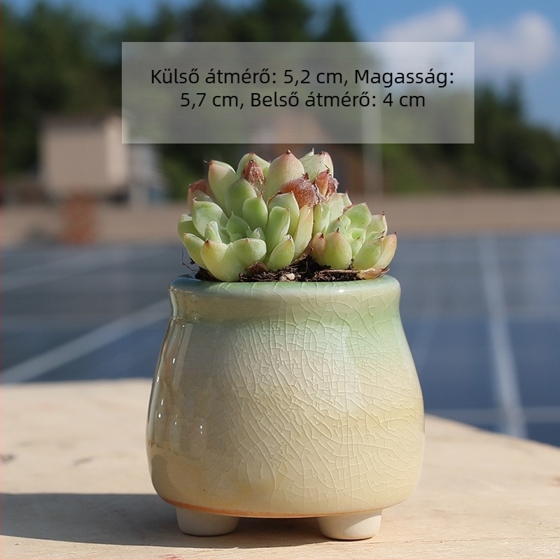 Krém színű kerámia szukkulens cserép – tejeskanna-stílusú, beltéri és kültéri használatra