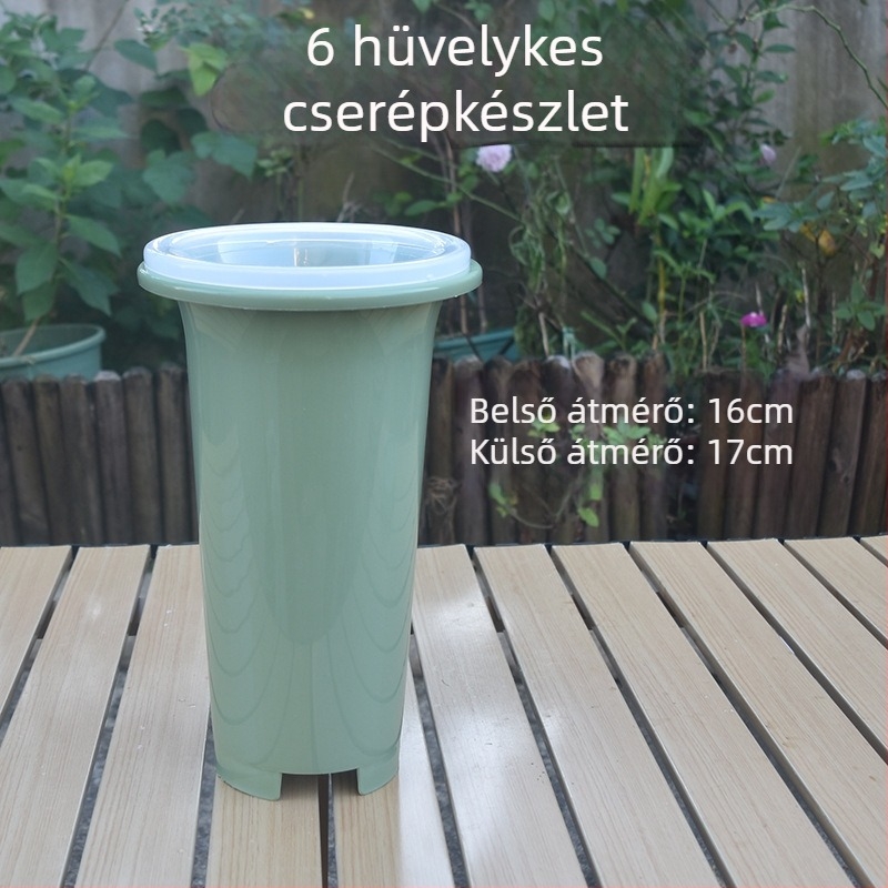 Zöld műanyag orchideaedények készlet, kifejezetten orchideákhoz, vastabb és magasabb kivitel