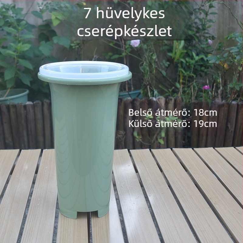 Zöld műanyag orchideaedények készlet, kifejezetten orchideákhoz, vastabb és magasabb kivitel