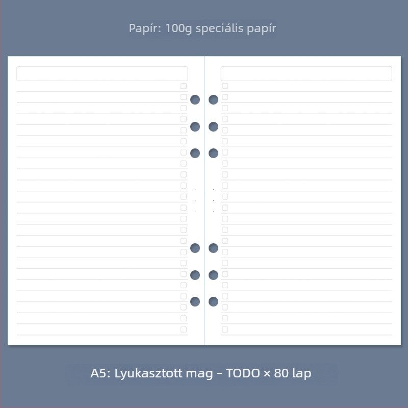 A5-ös notesz könyveléshez, hatlyukas rendszer, pontozott rács, heti és havi tervező