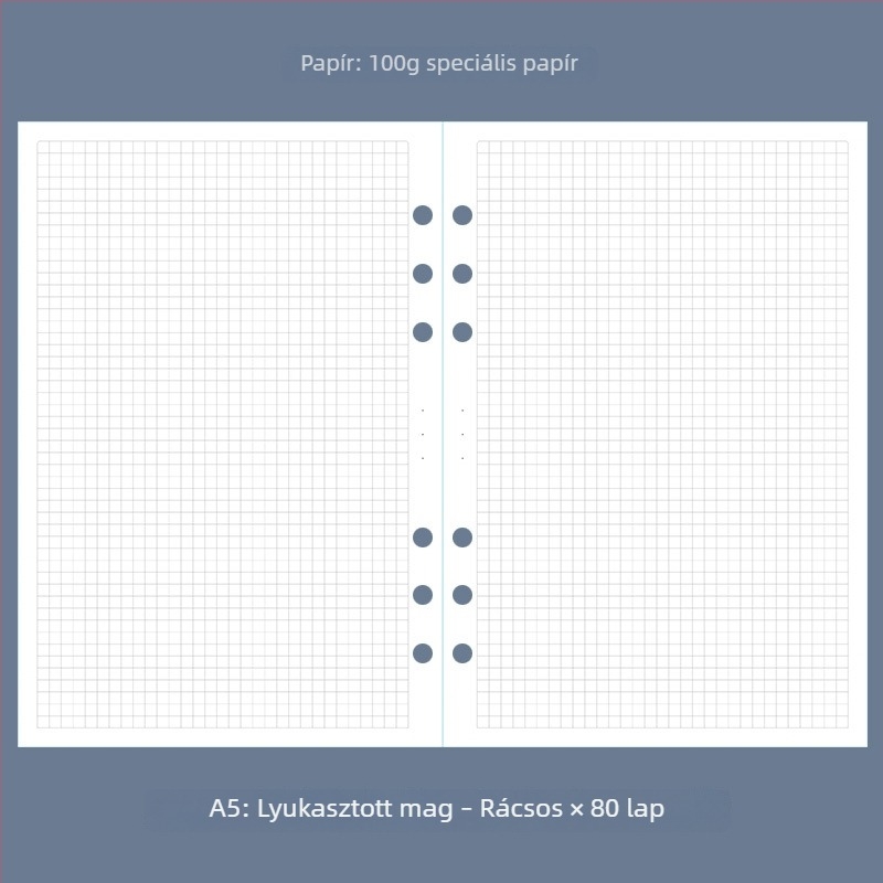 A5-ös notesz könyveléshez, hatlyukas rendszer, pontozott rács, heti és havi tervező