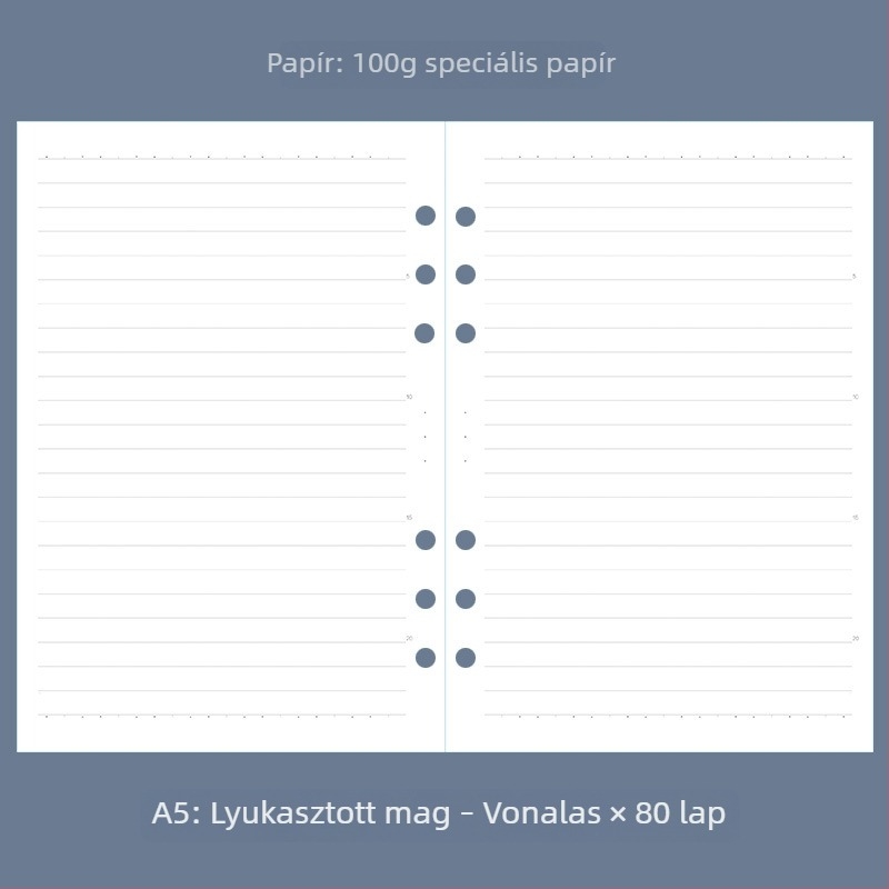 A5-ös notesz könyveléshez, hatlyukas rendszer, pontozott rács, heti és havi tervező
