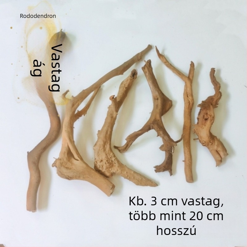 Akvarisztikai tájépítő készlet: rododendron gyökerek, merült fa, vastag és vékony ágak, vízi növények vázához