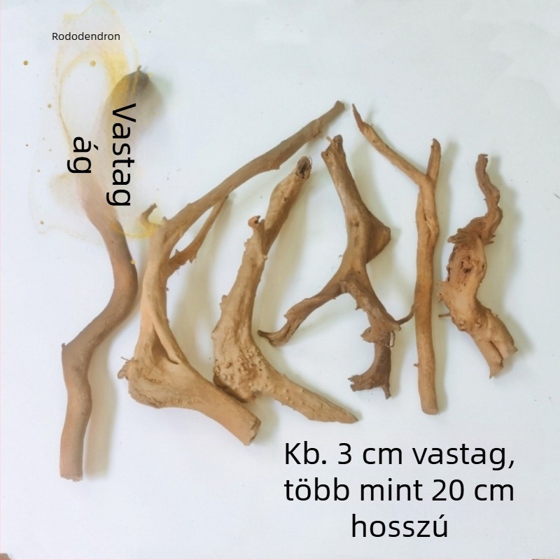 Akvarisztikai tájépítő készlet: rododendron gyökerek, merült fa, vastag és vékony ágak, vízi növények vázához