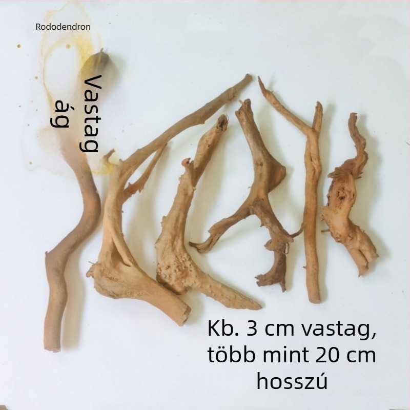 Akvarisztikai tájépítő készlet: rododendron gyökerek, merült fa, vastag és vékony ágak, vízi növények vázához