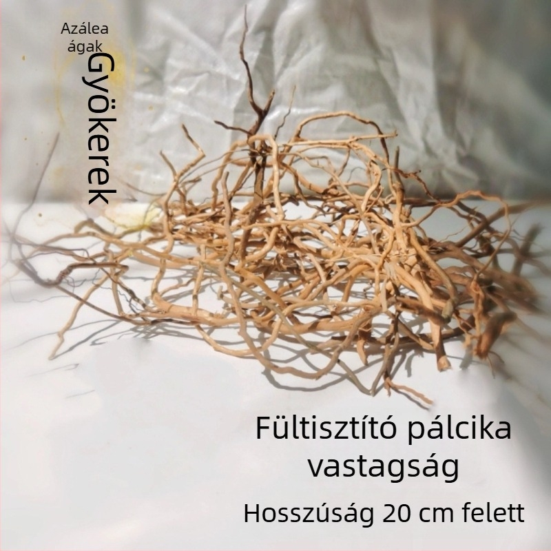 Akvarisztikai tájépítő készlet: rododendron gyökerek, merült fa, vastag és vékony ágak, vízi növények vázához