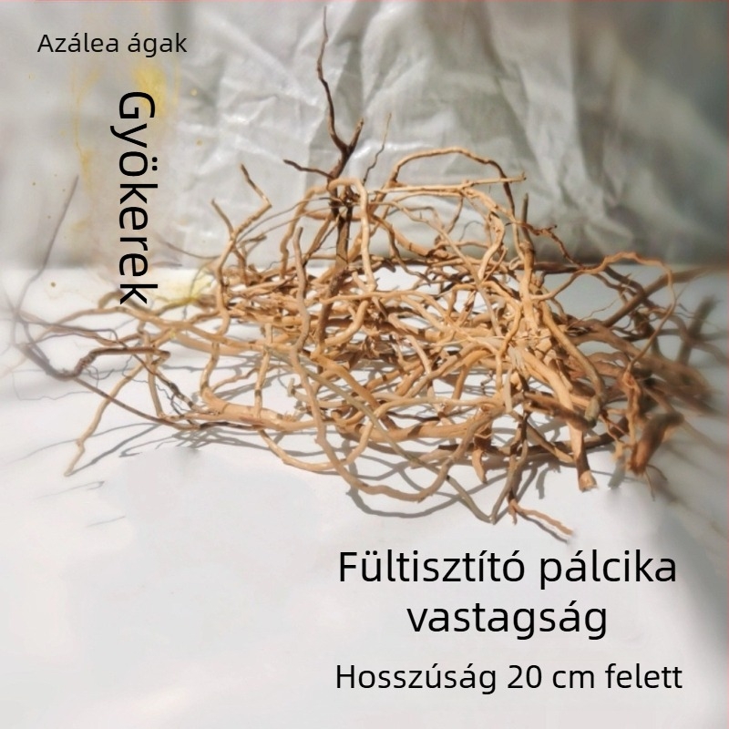 Akvarisztikai tájépítő készlet: rododendron gyökerek, merült fa, vastag és vékony ágak, vízi növények vázához