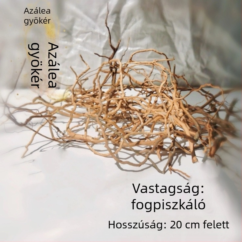 Akvarisztikai tájépítő készlet: rododendron gyökerek, merült fa, vastag és vékony ágak, vízi növények vázához