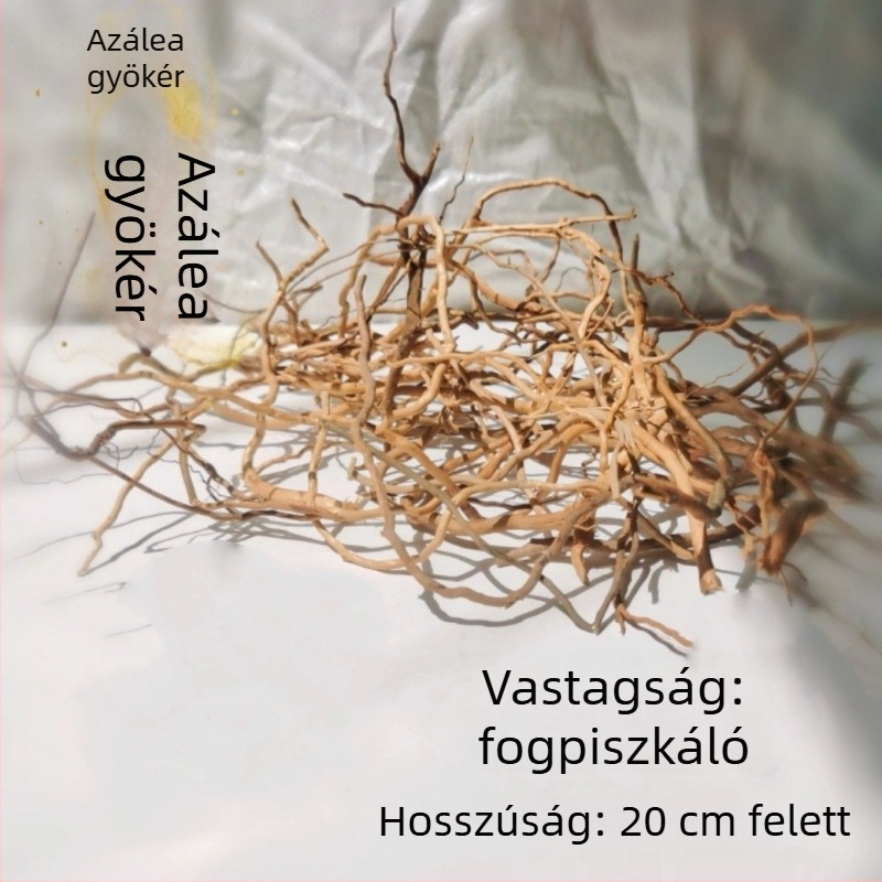 Akvarisztikai tájépítő készlet: rododendron gyökerek, merült fa, vastag és vékony ágak, vízi növények vázához