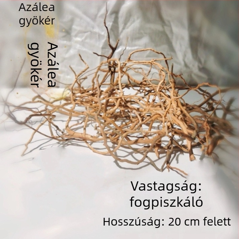 Akvarisztikai tájépítő készlet: rododendron gyökerek, merült fa, vastag és vékony ágak, vízi növények vázához