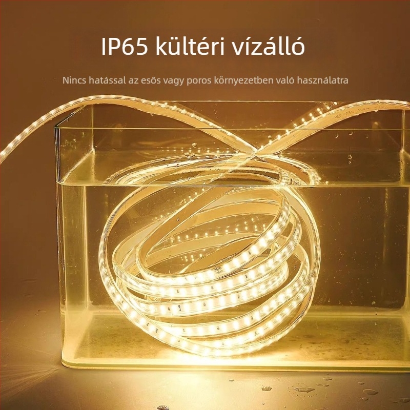 220V-os LED-szalag két soros 120 LED-del, nappali dekorációhoz és kültéri világításhoz, vízálló lineáris fény