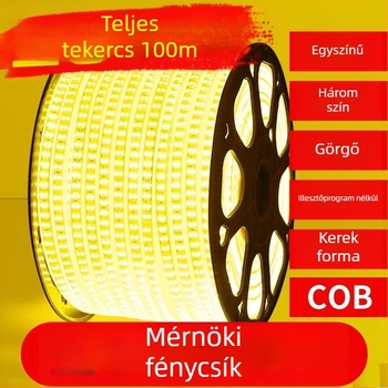 LED-szalag 120 LED 3528, Többszínű (vörös, kék, zöld, sárga), vízálló, Beltéri/kültéri hangulatvilágítás 220V