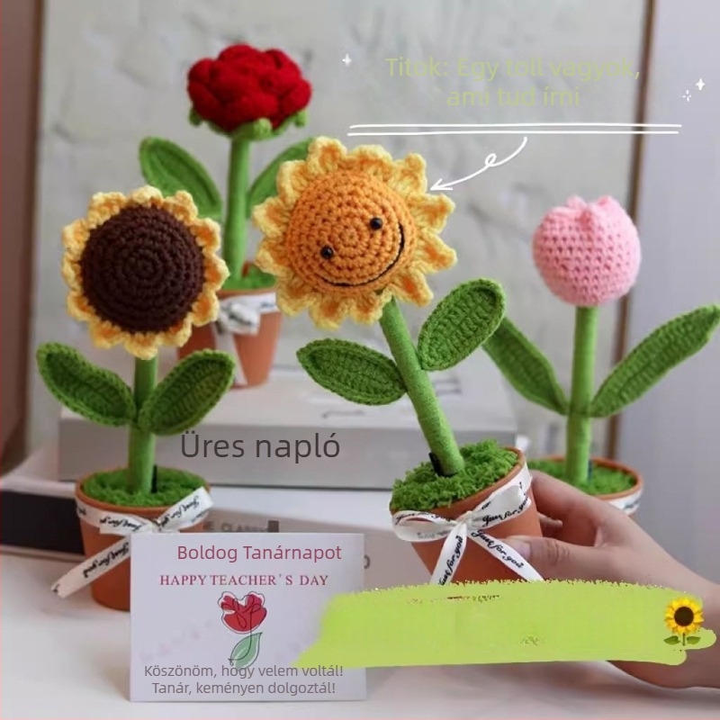Iskolakezdési ajándékok tanároknak: kész csokrok, cserépben ültetett növények, horgolt napraforgók, tulipánok, rózsák és művirágok