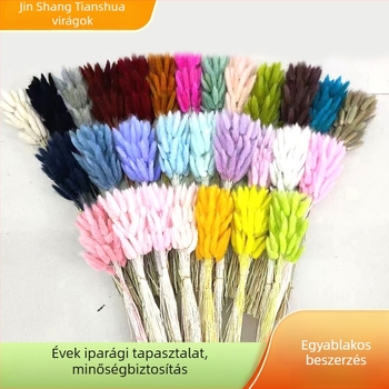 Szárított nyuszi farkú fű és tartós virágok DIY csokorhoz, minimalista virágkompozíciók.