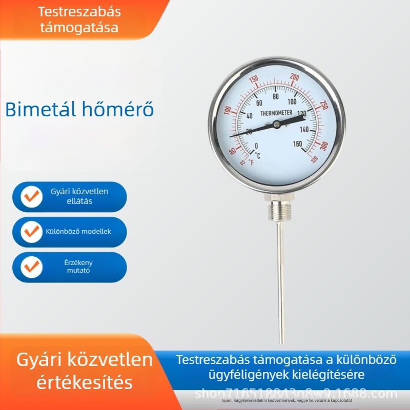 Bimetál hőmérő radiális típusú Y100, NPT 1/2