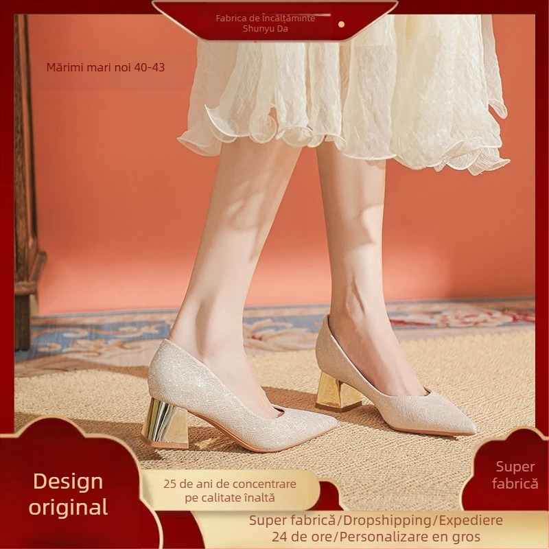 Pantofi de mireasă cu toc înalt, stil șampanie franceză, mărime plus, pentru femei, simpli, eleganti, cu toc gros, cu vârful ascuțit, nu sunt obosiți, cu fustă