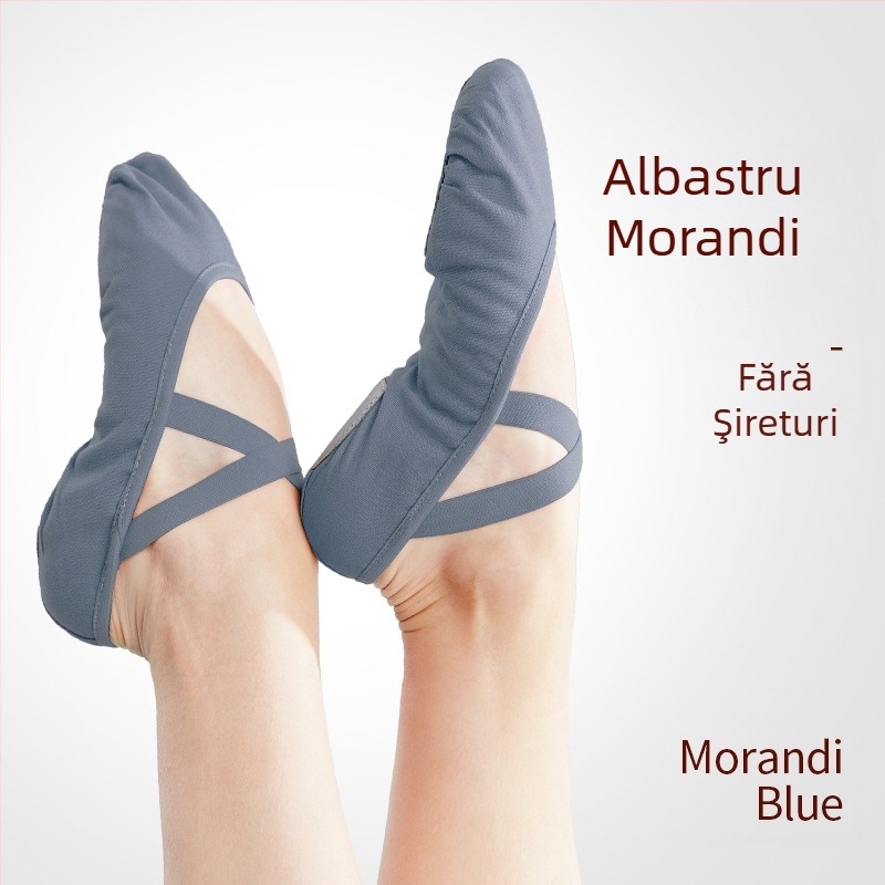 Pantofi de dans pentru femei, pantofi de exerciții cu fund moale, fără cordon, elastici, pentru copii, pantofi de yoga pentru femei, pantofi de dans chinezesc, pantofi cu gheare de pisică