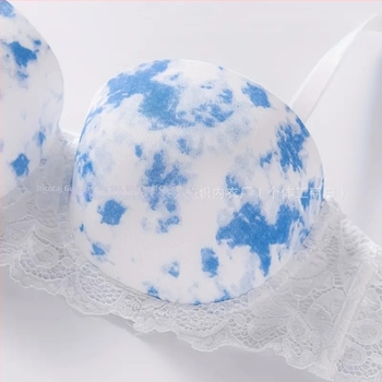 Lenjerie sexy din fabrică, explozii transfrontaliere, sutien cu imprimeu din dantelă și inel de oțel, lenjerie confortabilă, adunată, en-gros