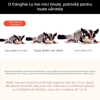 Coardă de tracțiune cu sac de miere, anti-evadare, anti-mușcătură, hamster, veveriță, ursul auriu, articole pentru animale de companie, recuzită en-gros