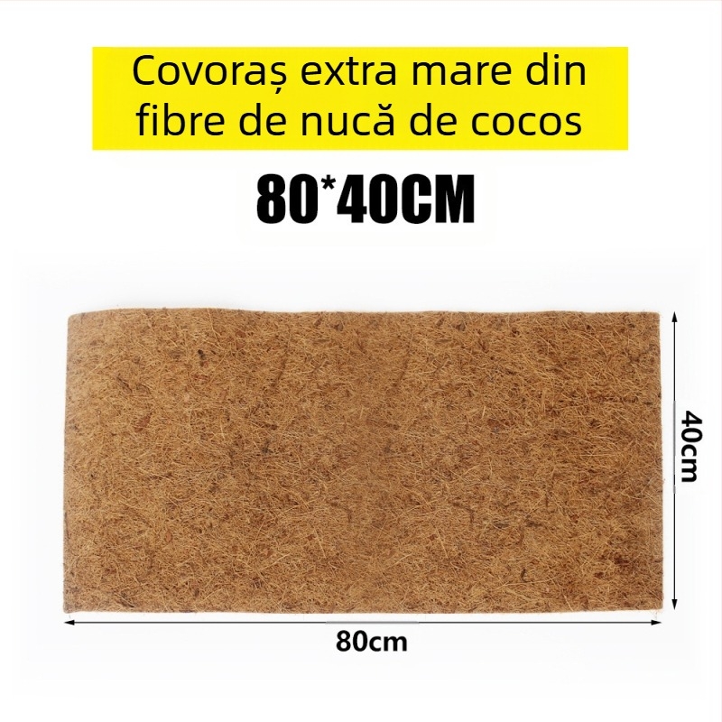 5 specificații Cutie de amenajare peisagistică în formă de broască țestoasă, șopârlă, gecko, cutie din lemn, izolație pentru reptile, animale de companie, covoraș cald de iarnă cu palmier de cocos