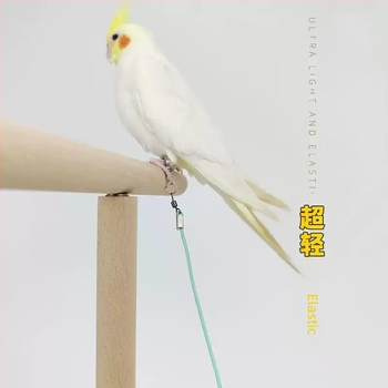 Papagal Fly Rope Elasticitatea nu doare picioarele Ultra-Ușor de Antrenament Negru Phoenix Tiger Skin Peony Anklet Anklet Walking Bird Out Rope