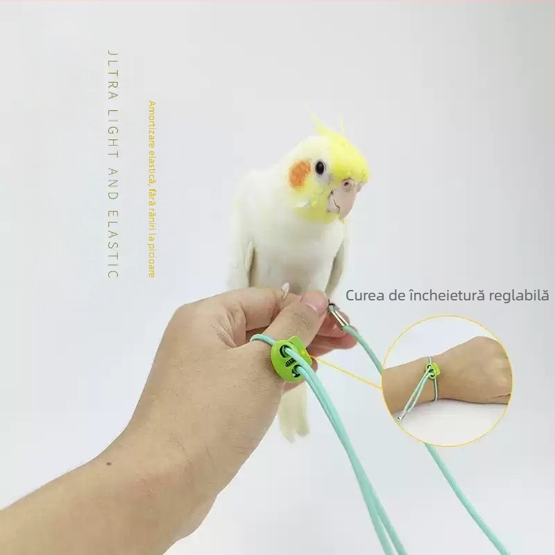 Papagal Fly Rope Elasticitatea nu doare picioarele Ultra-Ușor de Antrenament Negru Phoenix Tiger Skin Peony Anklet Anklet Walking Bird Out Rope