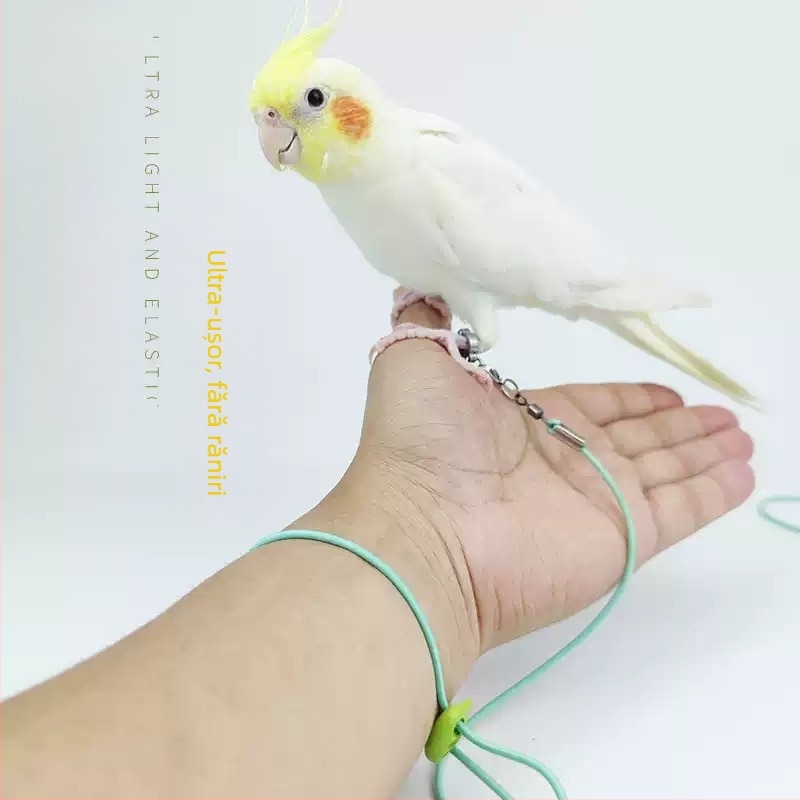 Papagal Fly Rope Elasticitatea nu doare picioarele Ultra-Ușor de Antrenament Negru Phoenix Tiger Skin Peony Anklet Anklet Walking Bird Out Rope