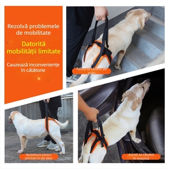 Centură auxiliară populară pentru câini, centură de mers pentru câini cu dizabilități în vârstă, frânghie reglabilă de tracțiune pentru animale de companie
