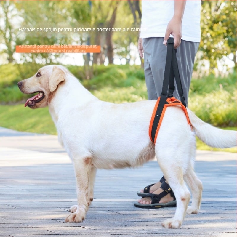 Centură auxiliară populară pentru câini, centură de mers pentru câini cu dizabilități în vârstă, frânghie reglabilă de tracțiune pentru animale de companie