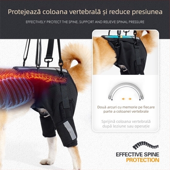 Centură auxiliară pentru câini, noua centură respirabilă de protecție Fishbone de la Amazon, suport pentru coloana vertebrală, echipament de protecție pentru dresajul câinilor la etaj