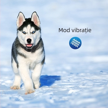 Zgardă vibratoare anti-lătrat pentru animale de companie, dispozitiv automat anti-lătrat, potrivit pentru câini de talie mică și mijlocie, dispozitiv anti-lătrat
