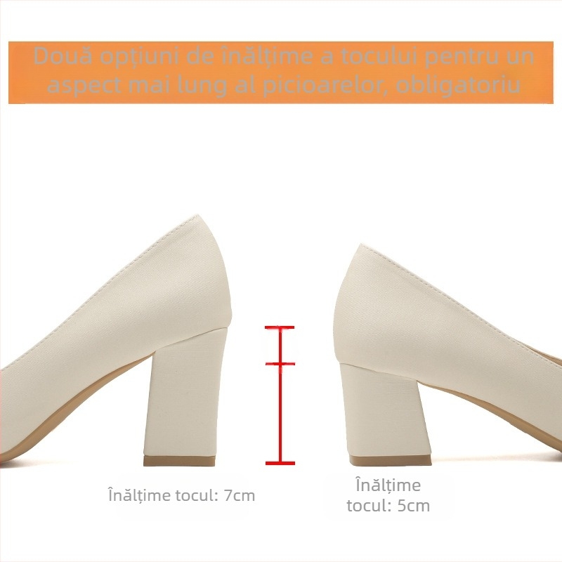 Pantofi de seară francezi cu vârful ascuțit, toc gros și platforma, pantofi cu un singur strat, stil Chanel, eleganti, cu toc înalt și fundă, asortați