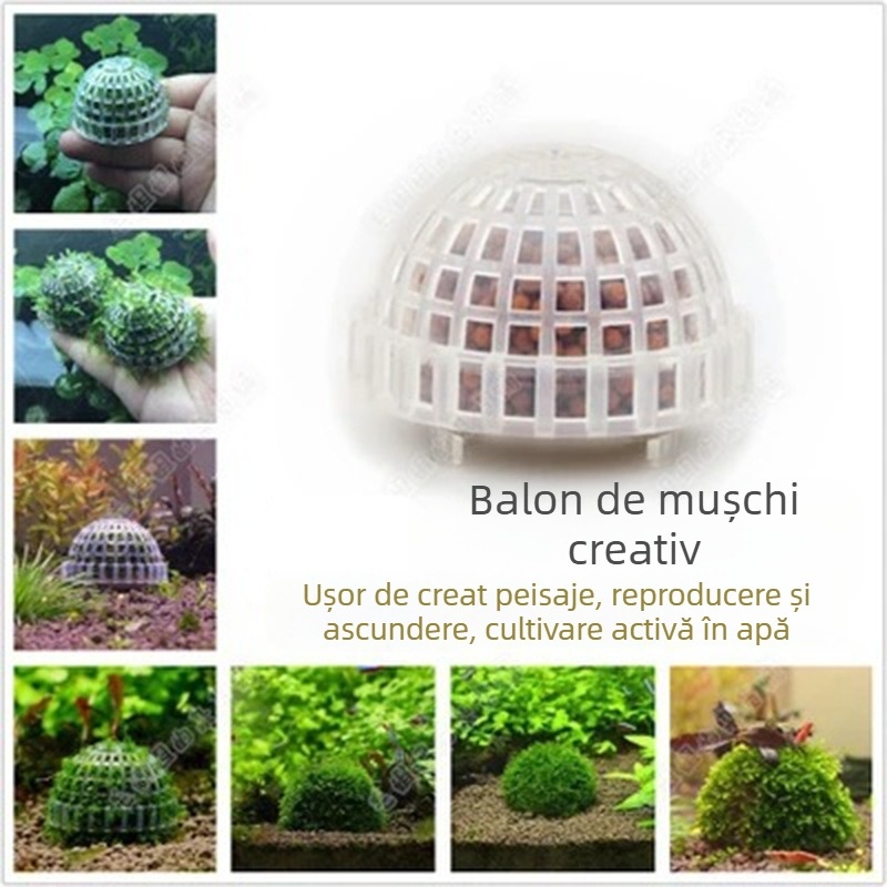 En-gros chiuvetă transparentă cu minge de apă, minge de mușchi, mușchi ornamental, creveți, casă, evitați reproducerea, conținând minge minerală