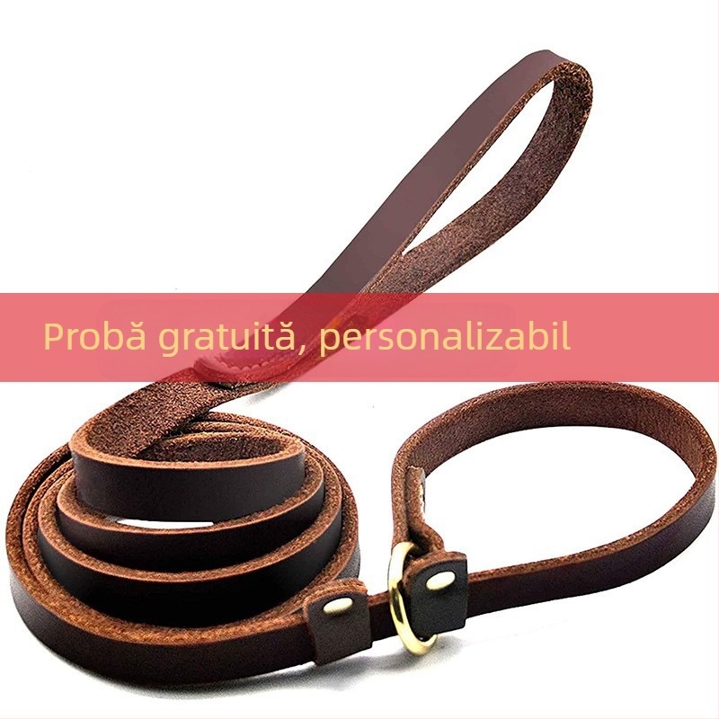 Coarda de tracțiune cu lanț P din piele de vacă susține furnizarea transfrontalieră de comerț exterior cu lanțuri de dresaj pentru câini de talie mică, medie și mare, rezistentă la explozie, pentru câini de talie mică, medie și mare