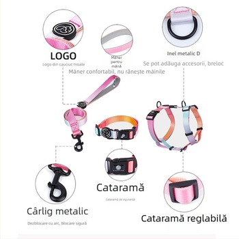 Lesă pentru câini Everking, ham pentru câini de mărime mică, cu lanț, culoare gradient, guler pentru câini, frânghie de mers pe jos, en-gros