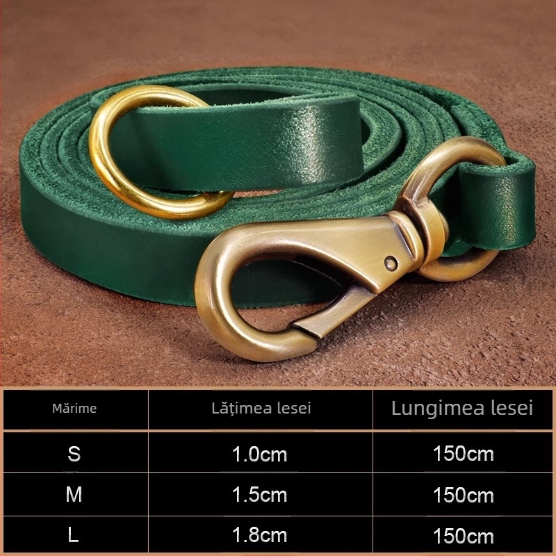 Zgarda pentru câini de companie, coarda de tracțiune din piele de vacă, gravare de marcă, anti-pierdere, Golden Retriever, inel de gât pentru câini de talie medie și mare