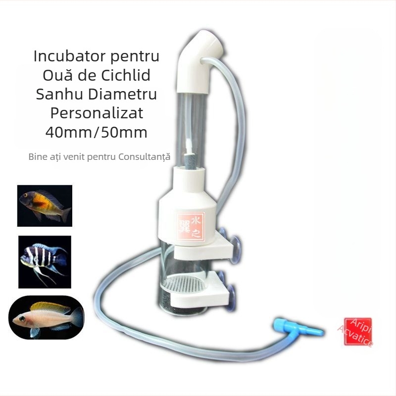 Incubator de ouă de pește transfrontalier în stoc - 50MM, incubator de ouă de pește ciclide, trei lacuri, heterotip bentonic, pești ornamentali, creșterea peștilor tropicali