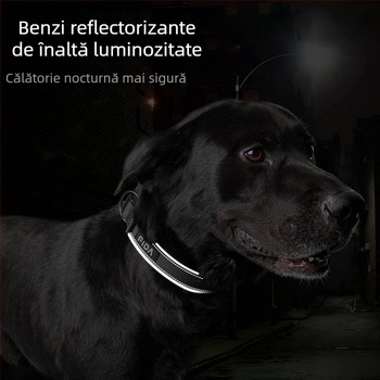 Zgardă reflectorizantă din nailon pentru animale de companie, curea din frânghie, zgardă pentru câini, Feida, zgardă populară pentru câini de la Amazon, en-gros