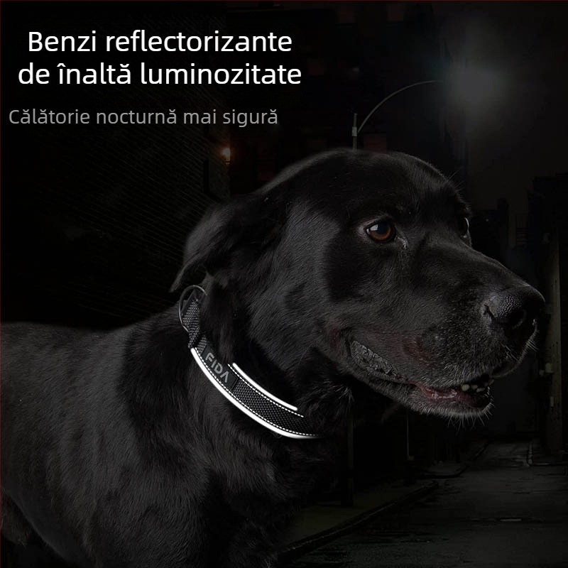 Zgardă reflectorizantă din nailon pentru animale de companie, curea din frânghie, zgardă pentru câini, Feida, zgardă populară pentru câini de la Amazon, en-gros
