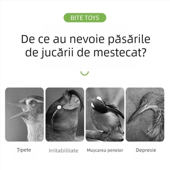 Jucărie pentru papagali, piele de tigru, bujor, Xuanfeng, colivie pentru păsări de mestecat și cățărat, scară, platformă, scară, leagăn, articole pentru animale de companie