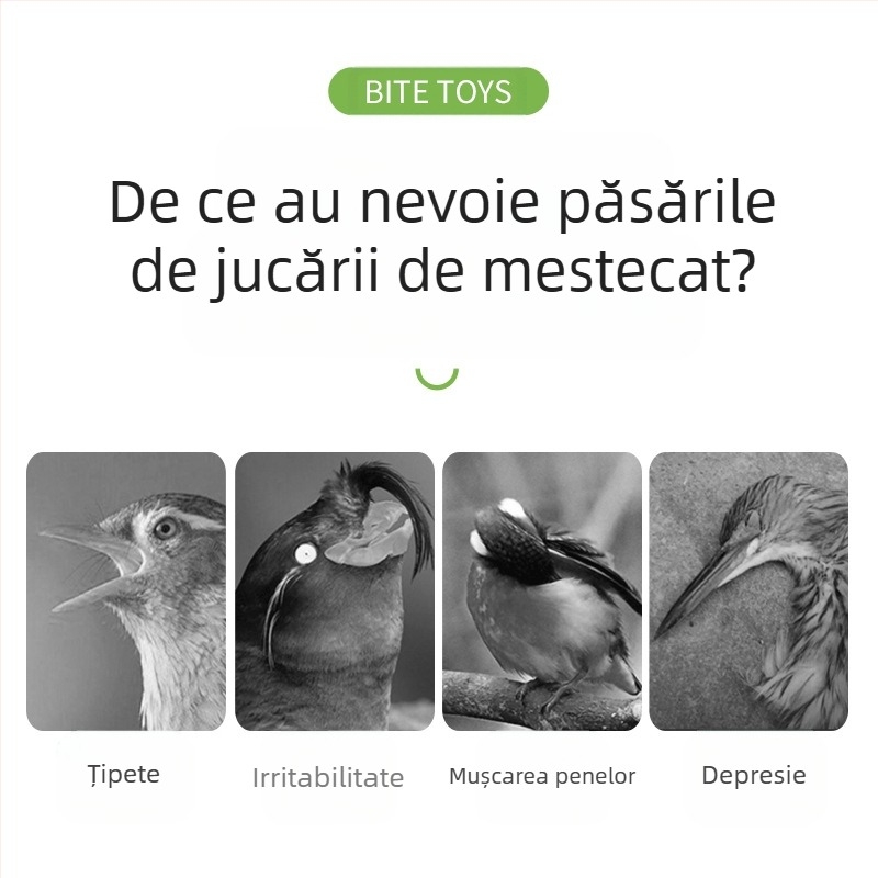 Jucărie pentru papagali, piele de tigru, bujor, Xuanfeng, colivie pentru păsări de mestecat și cățărat, scară, platformă, scară, leagăn, articole pentru animale de companie
