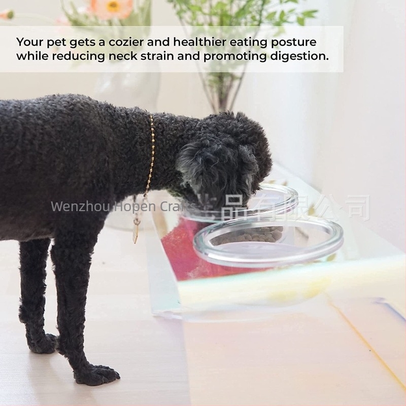 Bol pentru animale de companie Amazon, bol pentru câini, bol pentru pisici, bazin pentru hrană, suport acrilic pentru depozitare, suport pentru depozitare umedă și uscată, alimentator separat