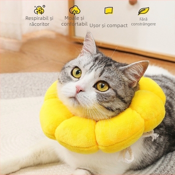 Floarea-soarelui Elizabeth guler zgardă pentru animale de companie pisică Elizabeth guler zgardă pentru câini sterilizat anti-lins cap accesoriu